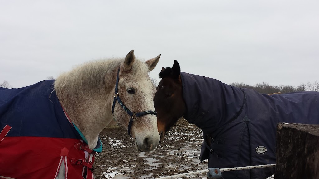 The Hamilton Hunt and Equestrian Sport Club | Brant, 7 County Rd 22, Caledonia, ON N3W 2G9, Canada | Phone: (905) 512-9177