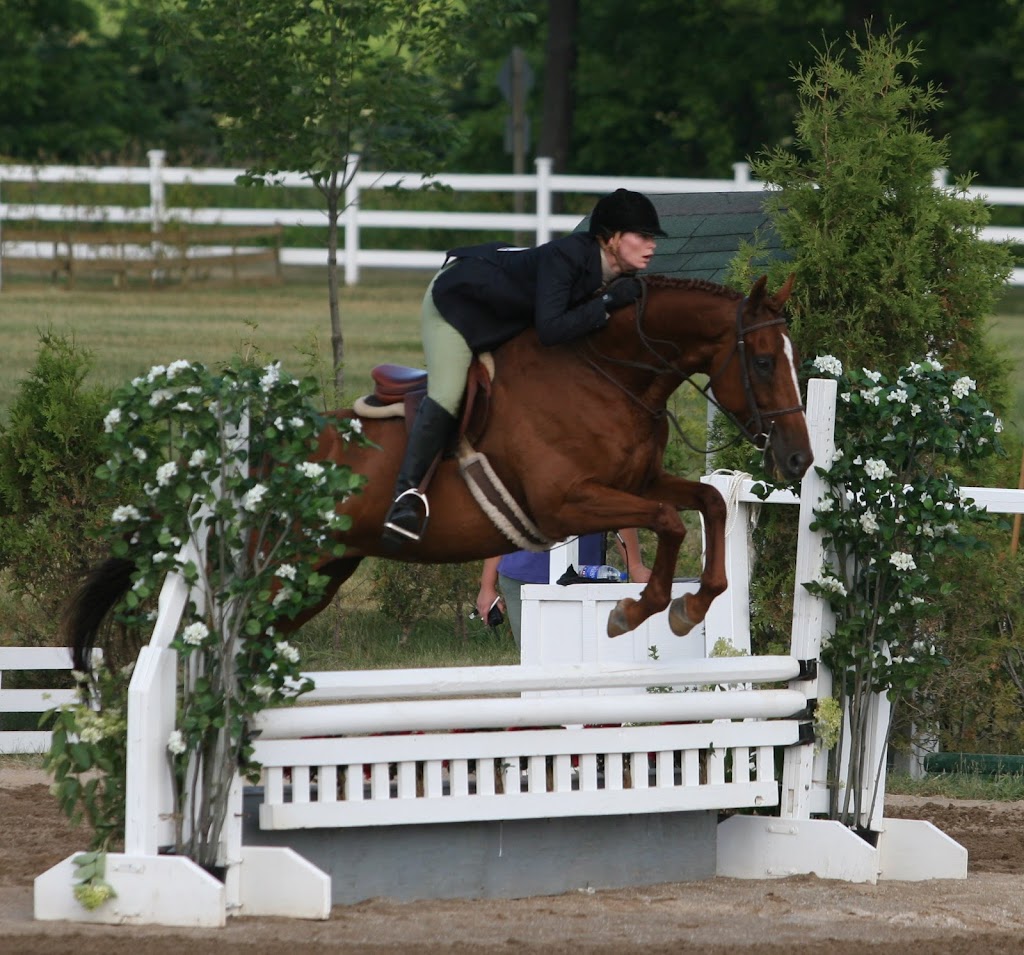 Foxbrook Farm | 1501 Ziska Rd, Bracebridge, ON P1L 1W8, Canada | Phone: (705) 380-5115