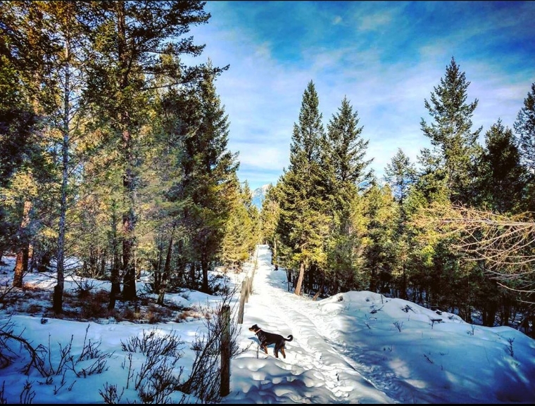 Great West Appraisal Inc. | Corporate Head Office, Invermere, BC V0A 1K0, Canada | Phone: (888) 771-4571