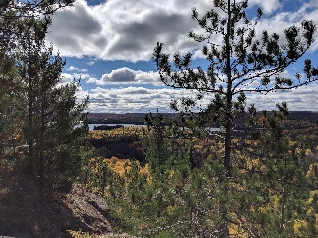 Muskoka Pioneer Power | 331 Fraserburg Rd, Bracebridge, ON P1L 0A1, Canada