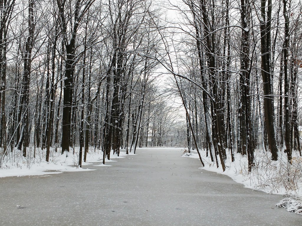 Woodlawn Park | Woodlawn Rd, Welland, ON L3C 6B3, Canada