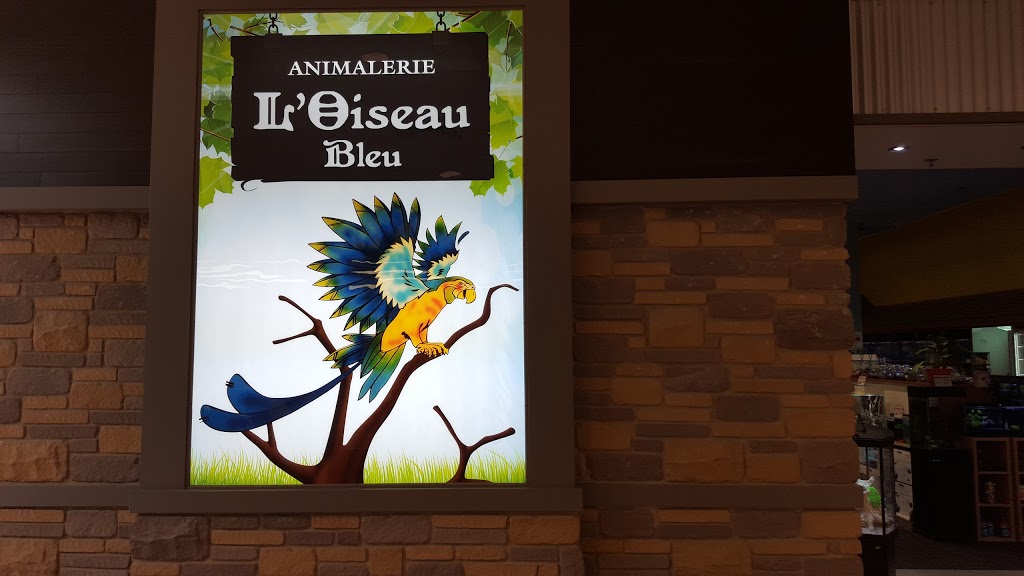 Animalerie LOiseau Bleu | 100 Boulevard Brien, Repentigny, QC J6A 5N4, Canada | Phone: (450) 581-7960