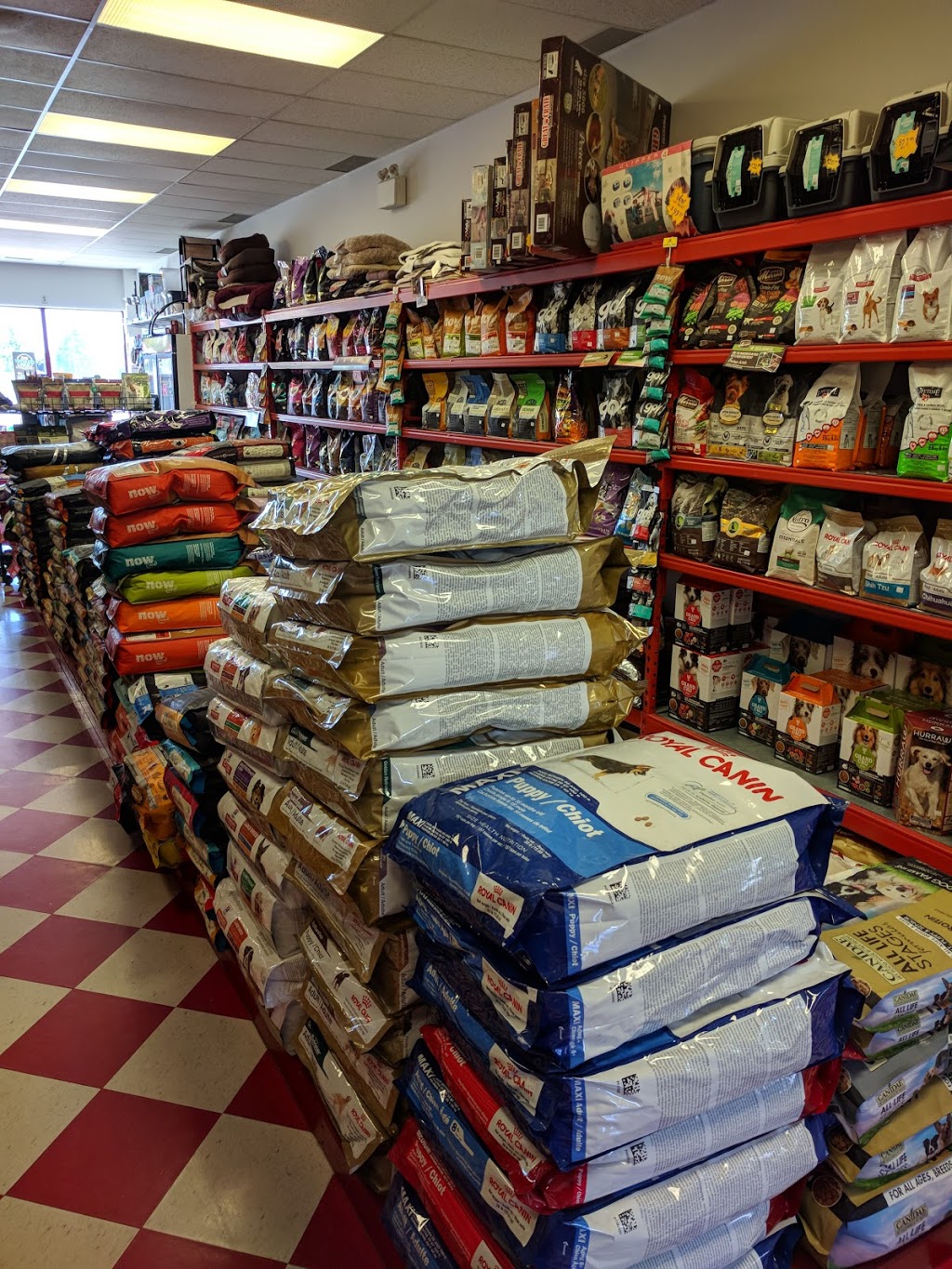 Global Pet Foods | 600 Grandview St S #6, Oshawa, ON L1H 7R9, Canada | Phone: (905) 245-0247