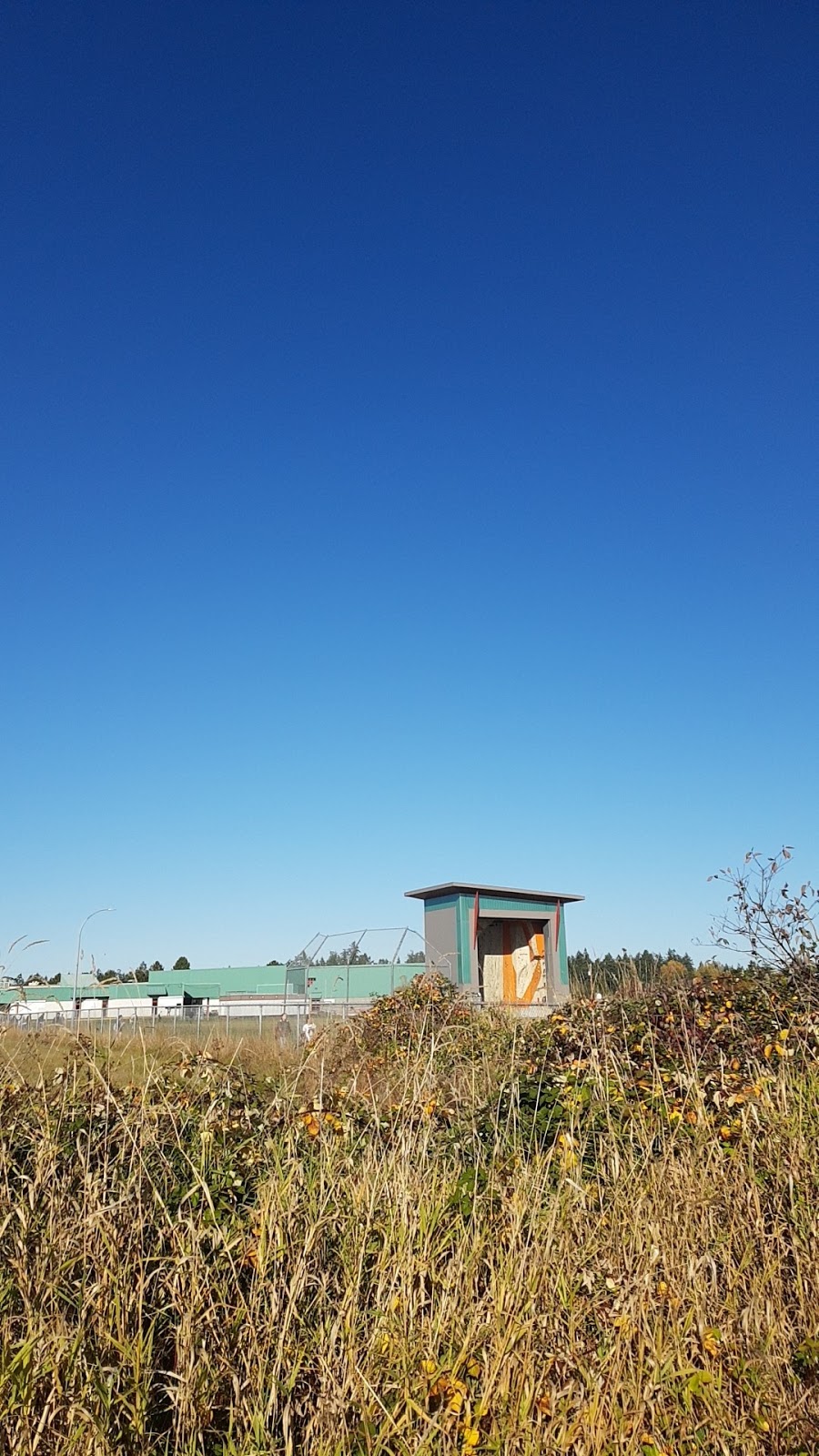 Stellys Secondary School | 1627 Stellys Cross Rd, Saanichton, BC V8M 1S8, Canada | Phone: (250) 652-4401
