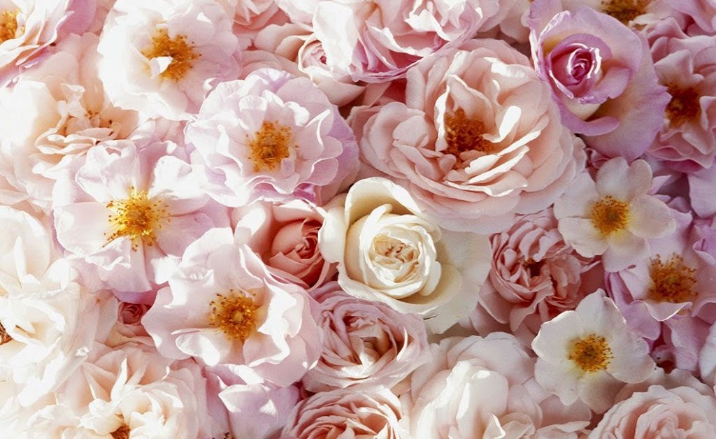 Fleuriste Aux Fleurs du Temps Québec | 1245 Ch Ste-Foy, Québec, QC G1S 4P2, Canada | Phone: (418) 683-3033
