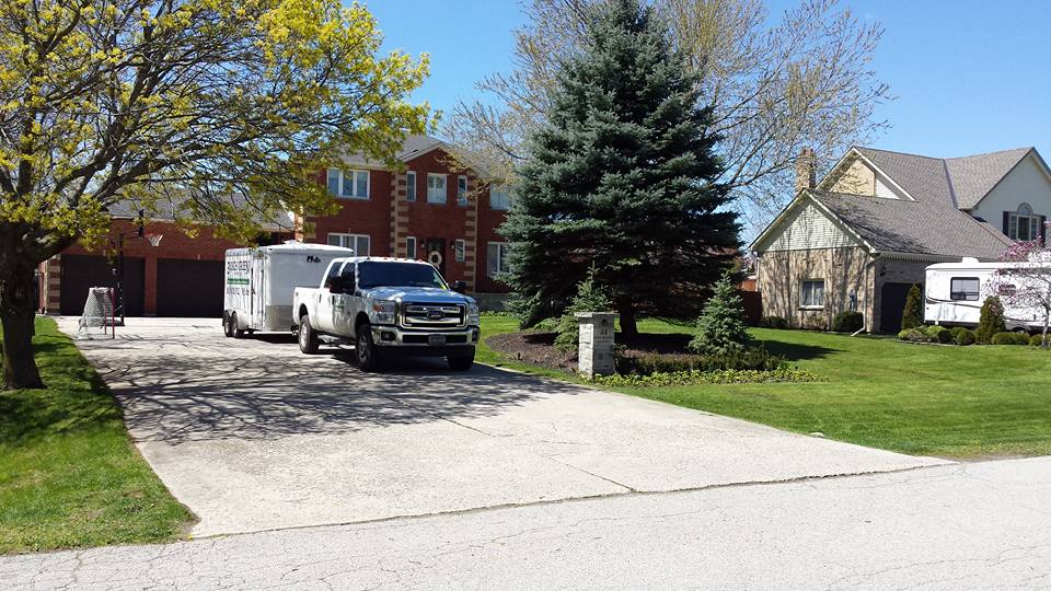 BUSCH GREEN | Milton, ON L9T, Canada | Phone: (905) 805-1722