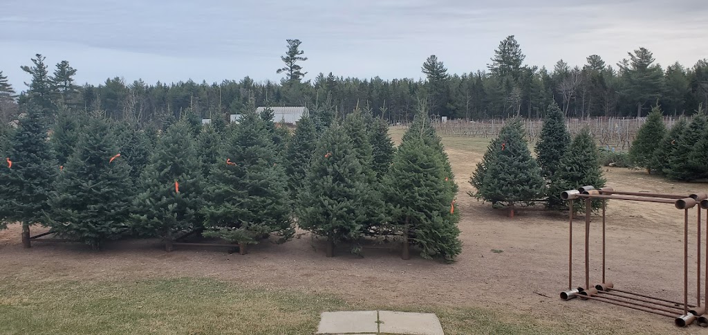 Alans Christmas Trees | 940 Route 495, Mundleville, NB E4W 2N5, Canada | Phone: (506) 523-9056