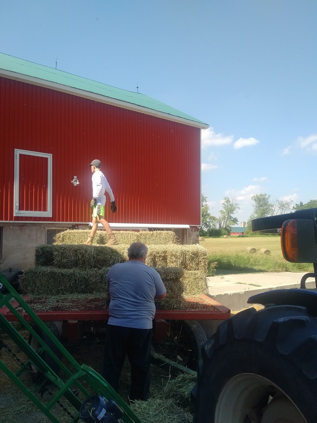 Transvaal Farm | 4675 3 Line, St. Marys, ON N4X 1C6, Canada | Phone: (647) 393-3821