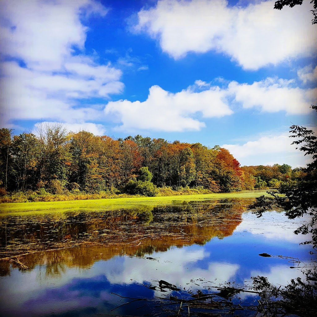 Morrison Dam Conservation Area | RR 3, 71108 Morrison Line, Exeter, ON N0M 1S5, Canada | Phone: (519) 235-2610