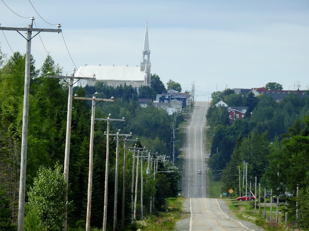 St-Fabien-Panet Municipalit | 195 Rue Bilodeau, Saint-Fabien-de-Panet, QC G0R 2J0, Canada | Phone: (418) 249-4471