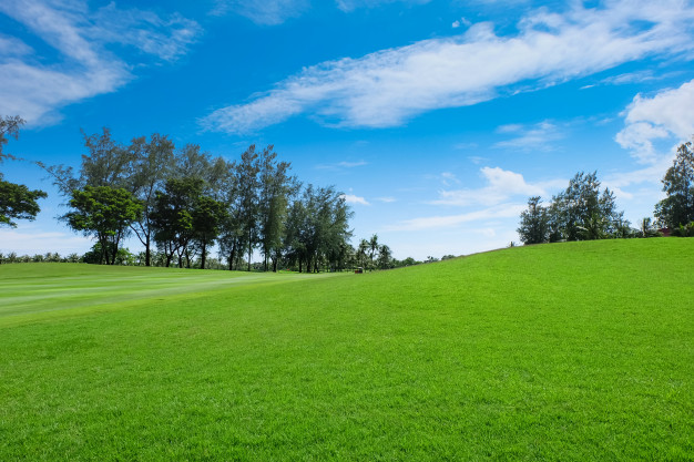 Nicholls Tree and Lawn Service Inc | 6109 Heritage Park Crescent, Orléans, ON K1C 7G8, Canada | Phone: (613) 882-3873