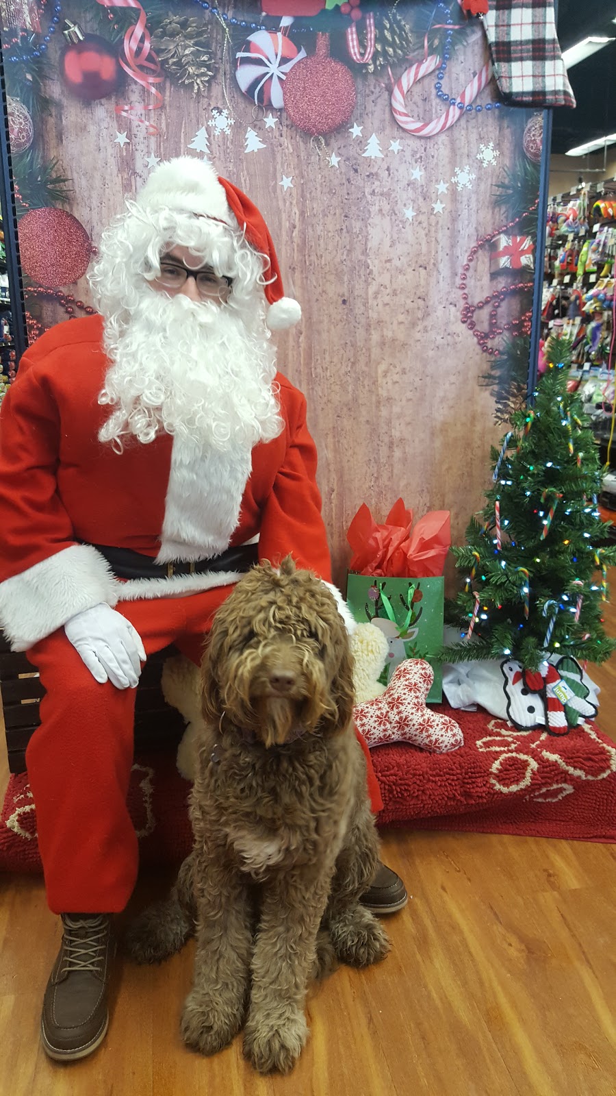 Pet Valu | 15340 Bayview Ave, Aurora, ON L4G 7J1, Canada | Phone: (905) 751-0851