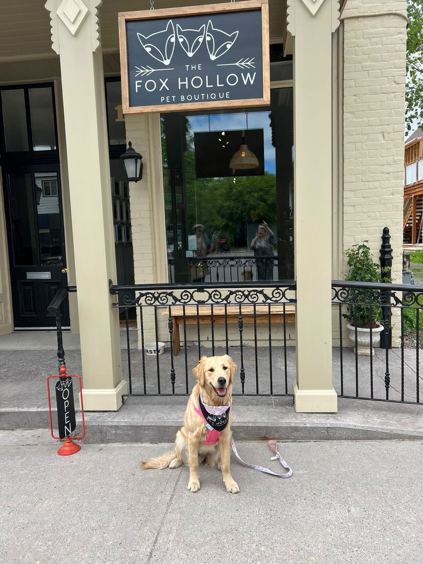 The Fox Hollow Pet Boutique | 31 Main St, Warkworth, ON K0K 3K0, Canada | Phone: (705) 924-1777