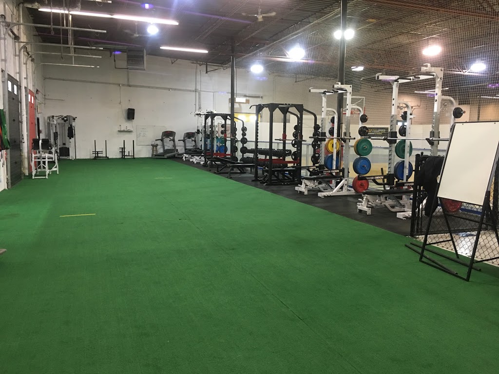 Strive Fitness and Athletics | 10450 50 St SE Unit 116, Calgary, AB T2C 5P8, Canada | Phone: (587) 333-6448