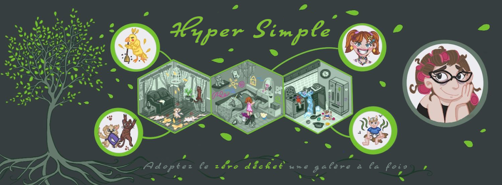 Hyper Simple | pas un point de vente, 1278 Croissant de Gaulle, Saint-Hubert, QC J4T 1M2, Canada | Phone: (514) 235-1937