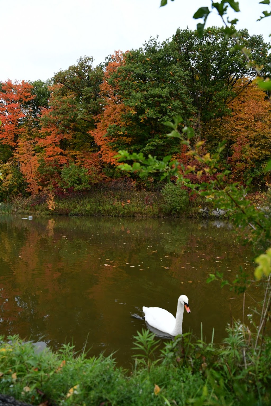 Twickenham Park | Richmond Hill, ON L4C 0E2, Canada | Phone: (905) 771-8870
