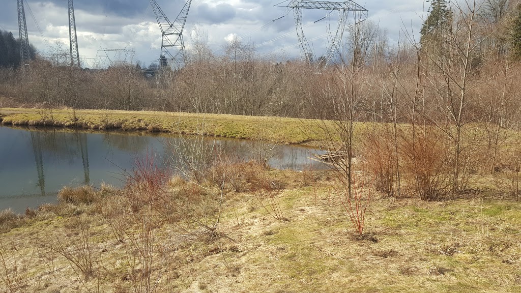 McKee Creek Park | Upper Ten Oaks, Abbotsford, BC V2S 6K6, Canada | Phone: (604) 853-2281