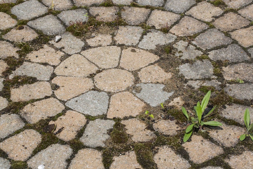 Béton Sealteck Plus | 15 Av. Robitaille, Lévis, QC G6Z 8N4, Canada | Phone: (418) 837-2020