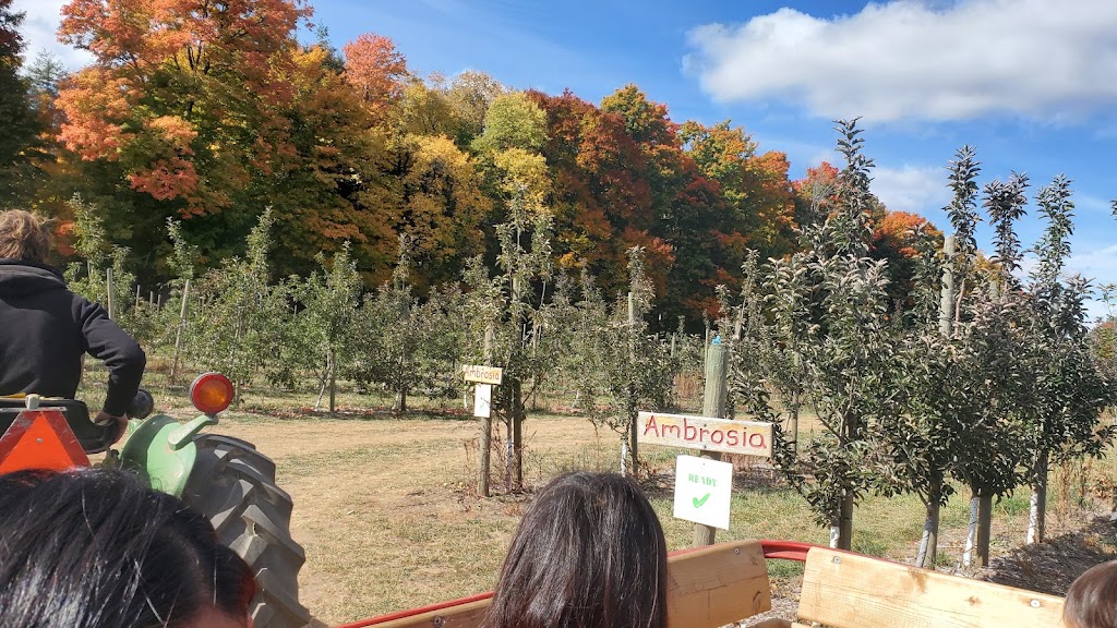 Downeys Apple Farm | 1355 Hopewell Creek Rd, Maryhill, ON N0B 2B0, Canada | Phone: (519) 590-4777