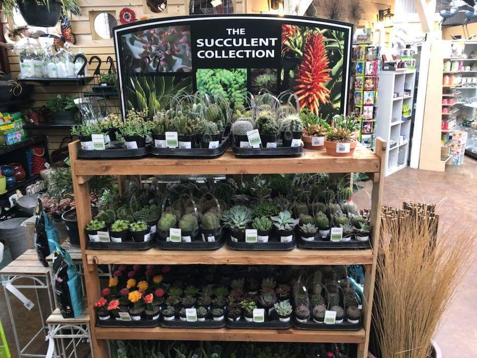 Blomidon Nurseries | 10060 Nova Scotia Trunk 1, Wolfville, NS B4P 2R2, Canada | Phone: (902) 542-3346