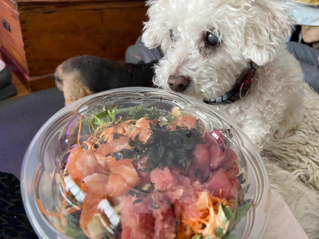 Poke Station LÎle-Perrot | 15 Bd Don-Quichotte, LÎle-Perrot, QC J7V 7X4, Canada | Phone: (514) 453-6666