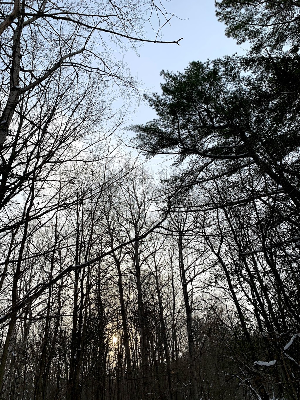 Crows Pass Conservation Area | 231 Middle March Rd, Port Perry, ON L9L 2A9, Canada | Phone: (905) 579-0411