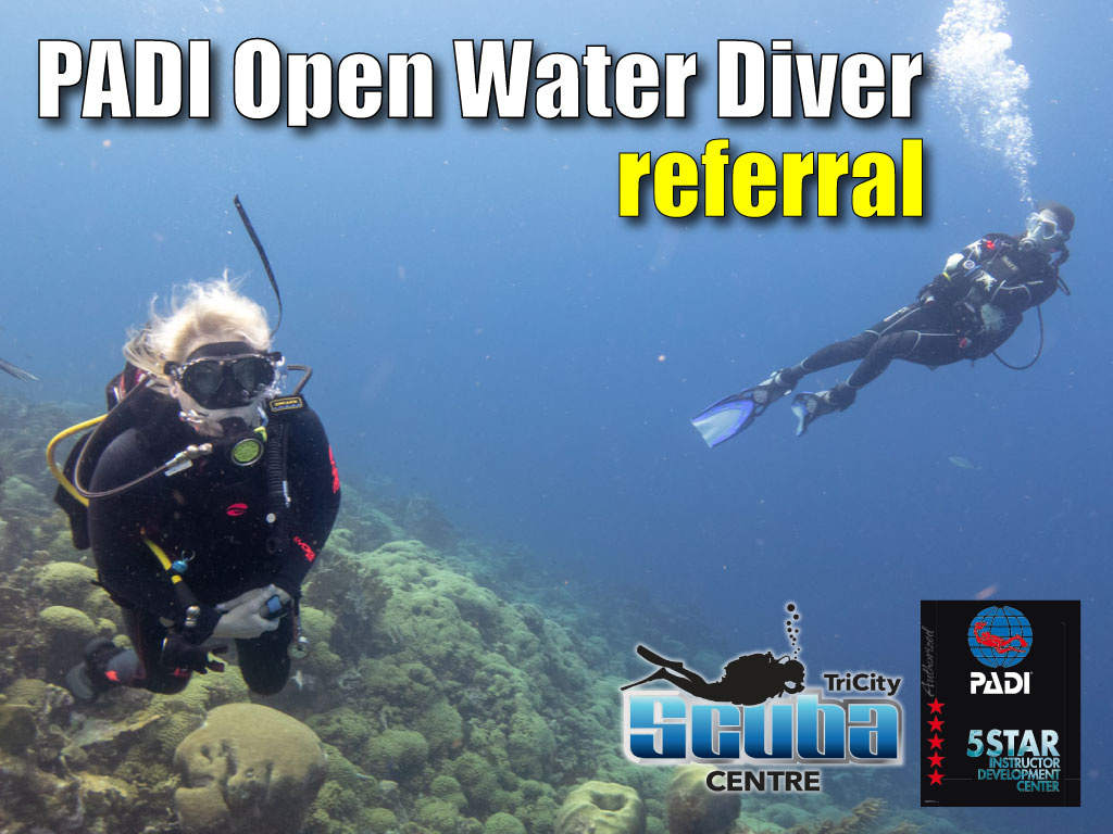 Tri-City Scuba Centre | 8-300 Trillium Dr, Kitchener, ON N2E 2K6, Canada | Phone: (519) 581-1044