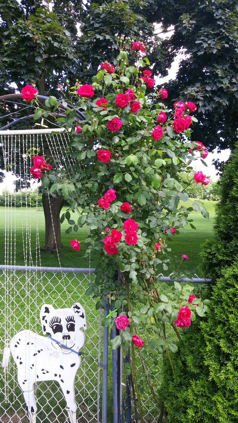 Central Park Community Garden | 2299 New St, Burlington, ON L7R 1J4, Canada | Phone: (905) 335-7736