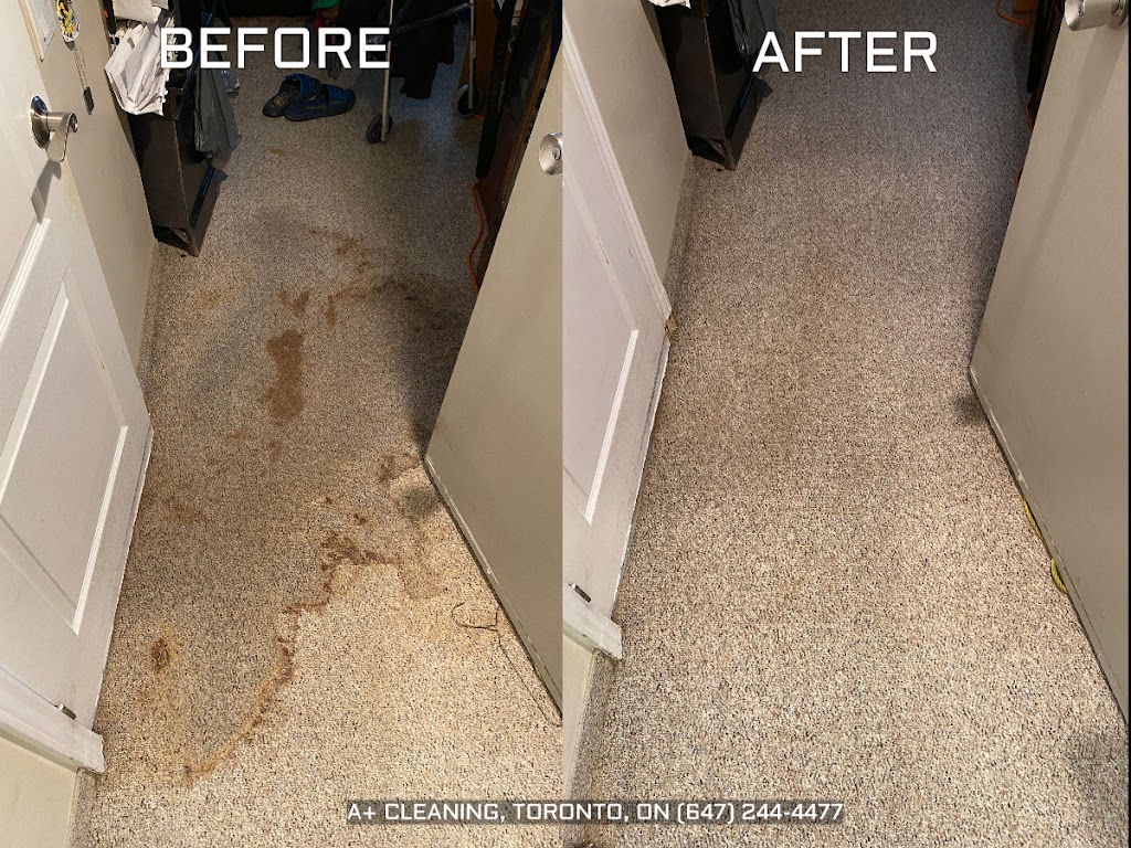 Thornhill Carpet and Upholstery Cleaning Services | 10 Donisi Ave, Vaughan, ON L4J 6G5, Canada | Phone: (647) 244-4477