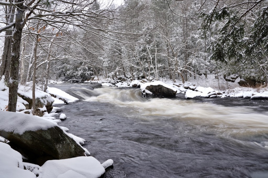 Canadian Adventure Expeditions | 1148 Dwight Beach Rd, Dwight, ON P0A 1H0, Canada | Phone: (705) 571-3007