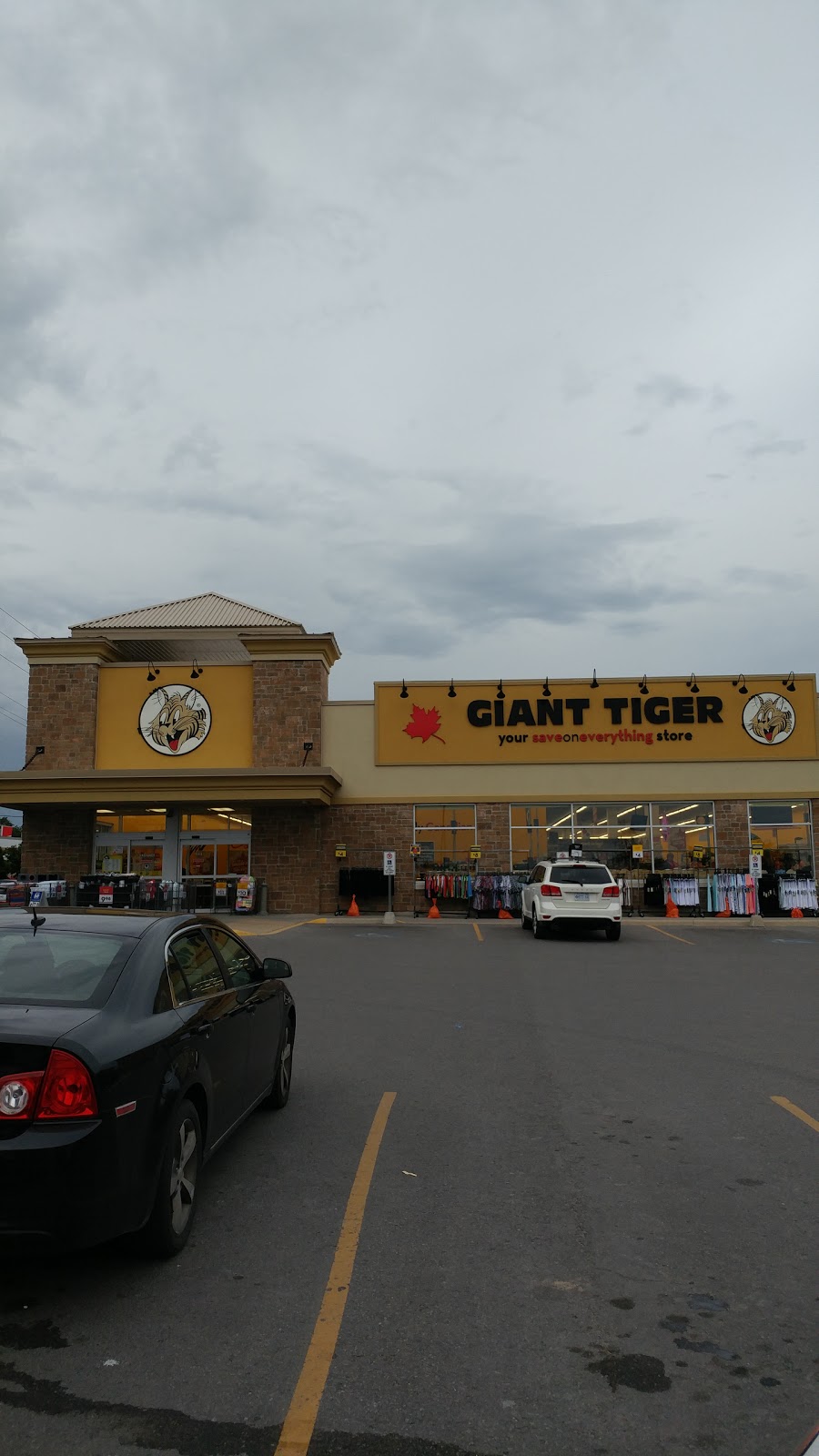 Giant Tiger | clothing store | 145 Peter St, Port Hope, ON L1A 1C5, Canada | 9058856923 OR +1 905-885-6923