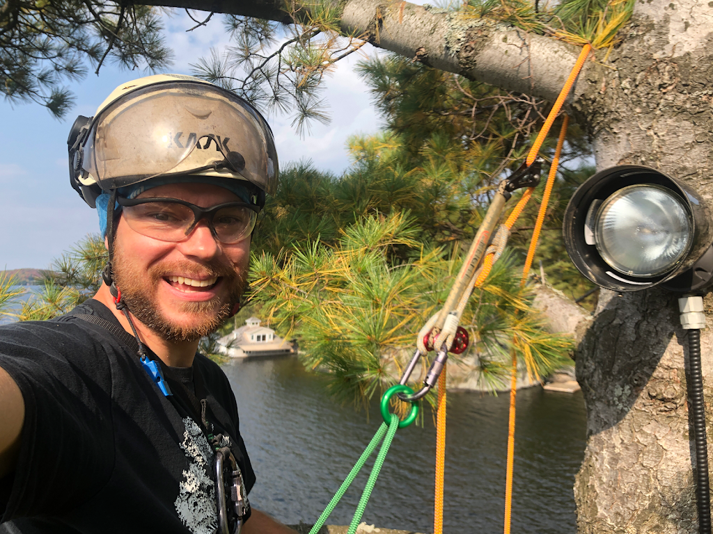 Paton Tree Services | 861 Riverlea Rd, Huntsville, ON P1H 1X5, Canada | Phone: (705) 349-0924