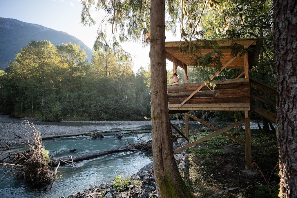 Klahoose Coastal Adventures | 4400 Marine Ave #203, Powell River, BC V8A 2K1, Canada | Phone: (250) 935-8539