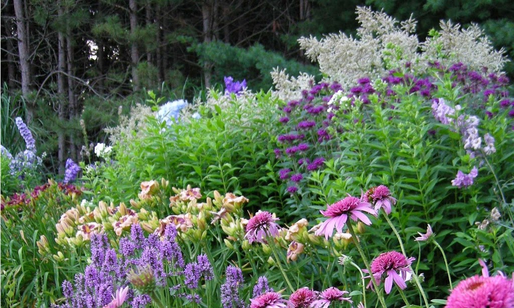 Plant Paradise Country Gardens | 16258 Humber Station Rd, Caledon East, ON L7E 0Y9, Canada | Phone: (905) 880-9090
