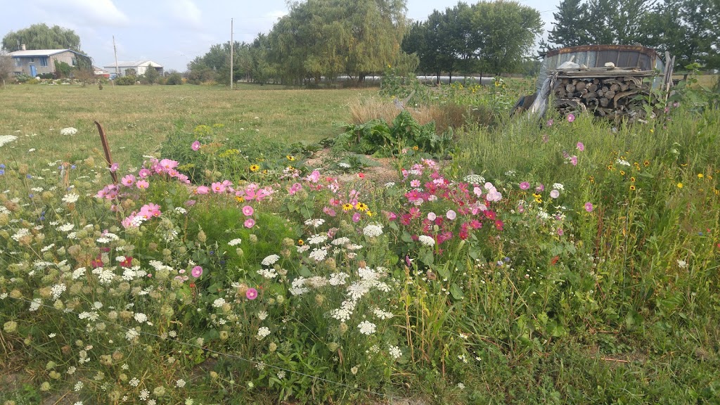 Providence Acres farm | 4494 Scotchmere Dr, Glencoe, ON N0L 1M0, Canada | Phone: (519) 520-3463