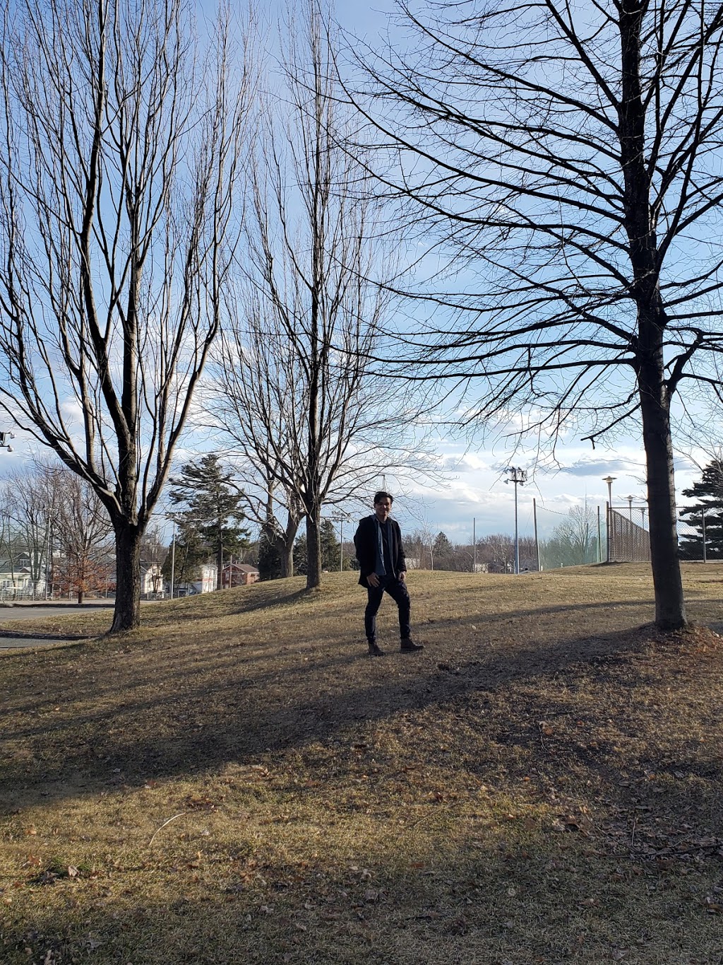 Des Forges Park | 30 Rue de lAcadémie, Victoriaville, QC G6P 3M2, Canada | Phone: (819) 758-1571