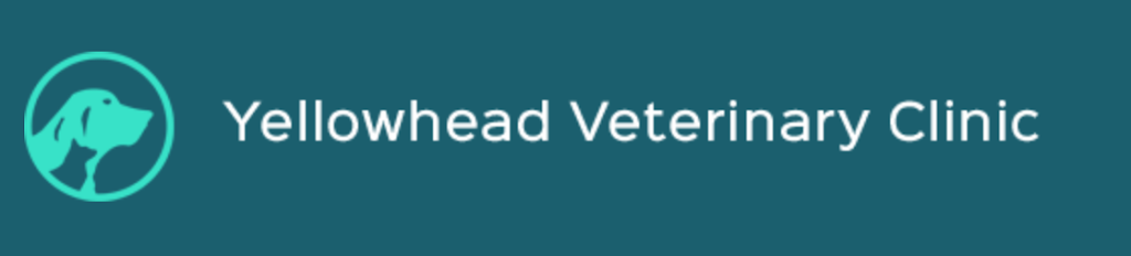 Yellowhead Veterinary Clinic | 4305 S Park Dr, Stony Plain, AB T7Z 1L1, Canada | Phone: (780) 963-9478