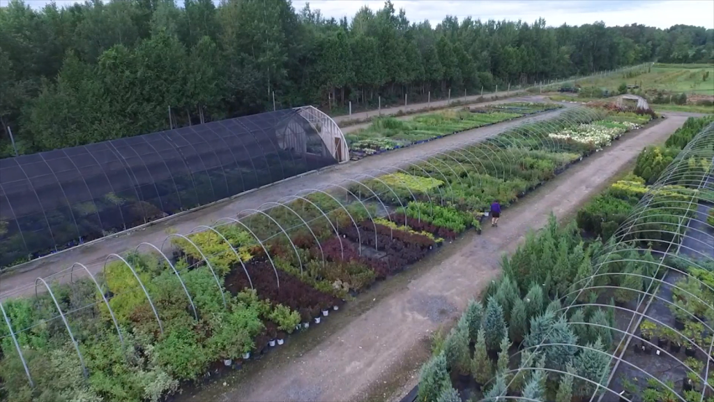 Greenlife Wholesale Nursery | 1770 Manotick Station Rd, Greely, ON K4P 1K4, Canada | Phone: (613) 692-3047