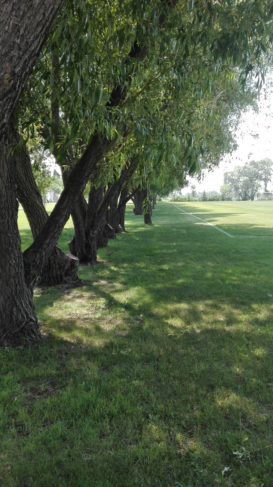 Joe Malone Park | 45 Boulton Bay, Winnipeg, MB R3N 2C3, Canada