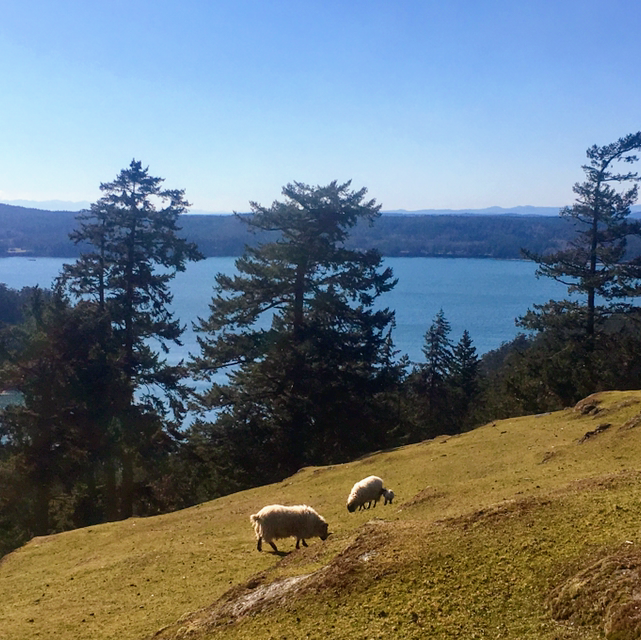 Sarah Jones Real Estate | 1 Rosehedge Farm, Decatur Island, Anacortes, WA 98221, USA | Phone: (360) 588-6022