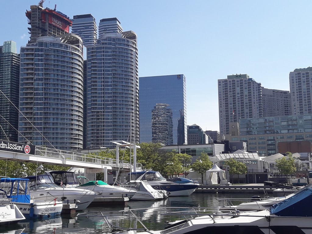 City Sightseeing Toronto | 249 Queens Quay W, Toronto, ON M5J 2N5, Canada | Phone: (416) 410-0536