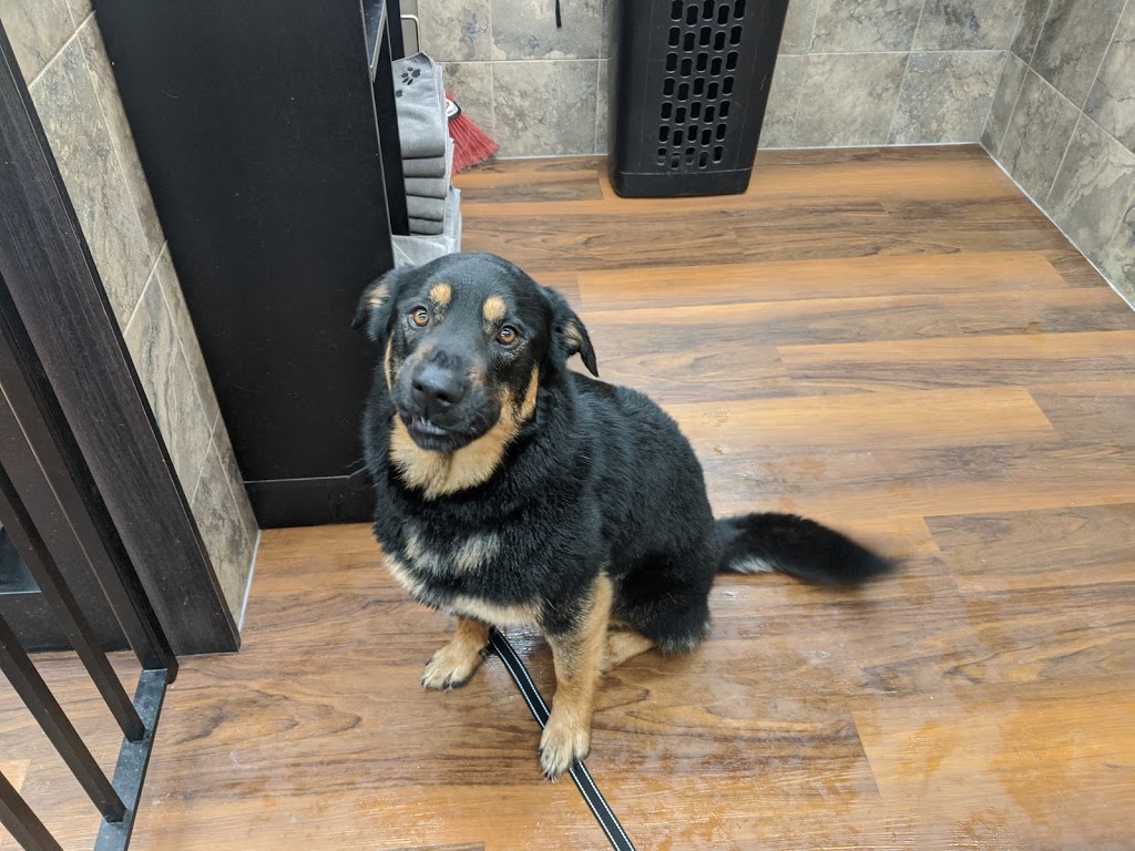 Pet Valu | 502 Riddell Rd, Orangeville, ON L9W 5L1, Canada | Phone: (519) 943-0844