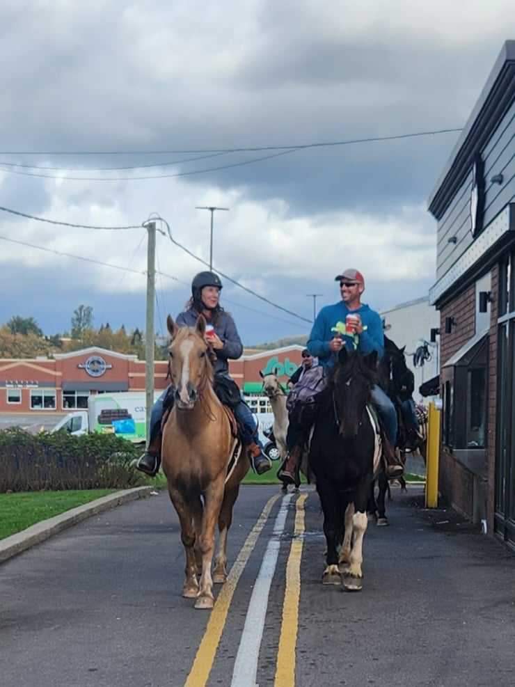 CorLie Equine Adventures and Events | 250 Route 715, Coles Island, NB E4C 2T4, Canada | Phone: (506) 512-1216