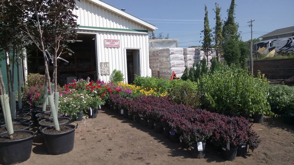 Doirons Landscaping & Gardening Centre | 2 Day Ave, Charlottetown, PE C1E 0E5, Canada | Phone: (902) 368-1666