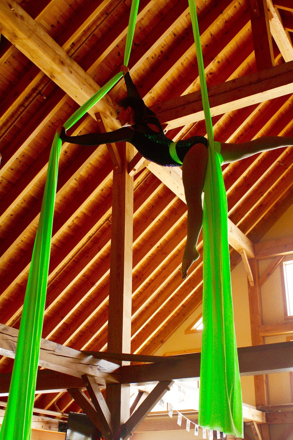 Collingwood Circus Club | 95 Sandford Fleming Dr, Collingwood, ON L9Y 5A6, Canada | Phone: (705) 444-9675