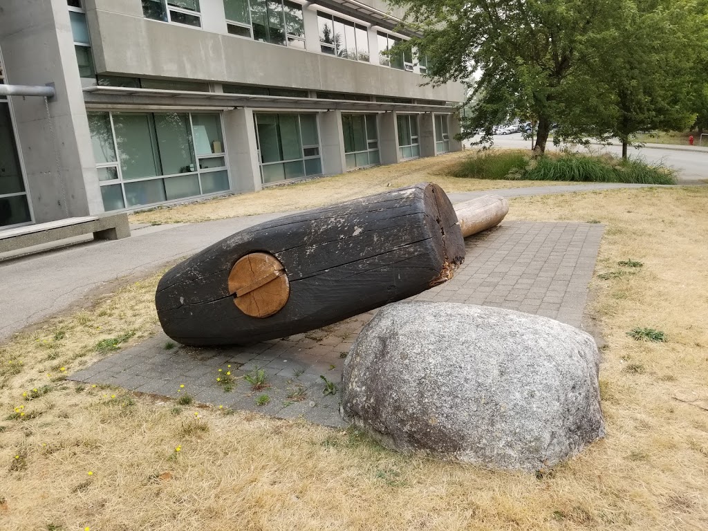 Embark Learning Garden | 643A Science Rd, Burnaby, BC V5A, Canada | Phone: (778) 782-3972
