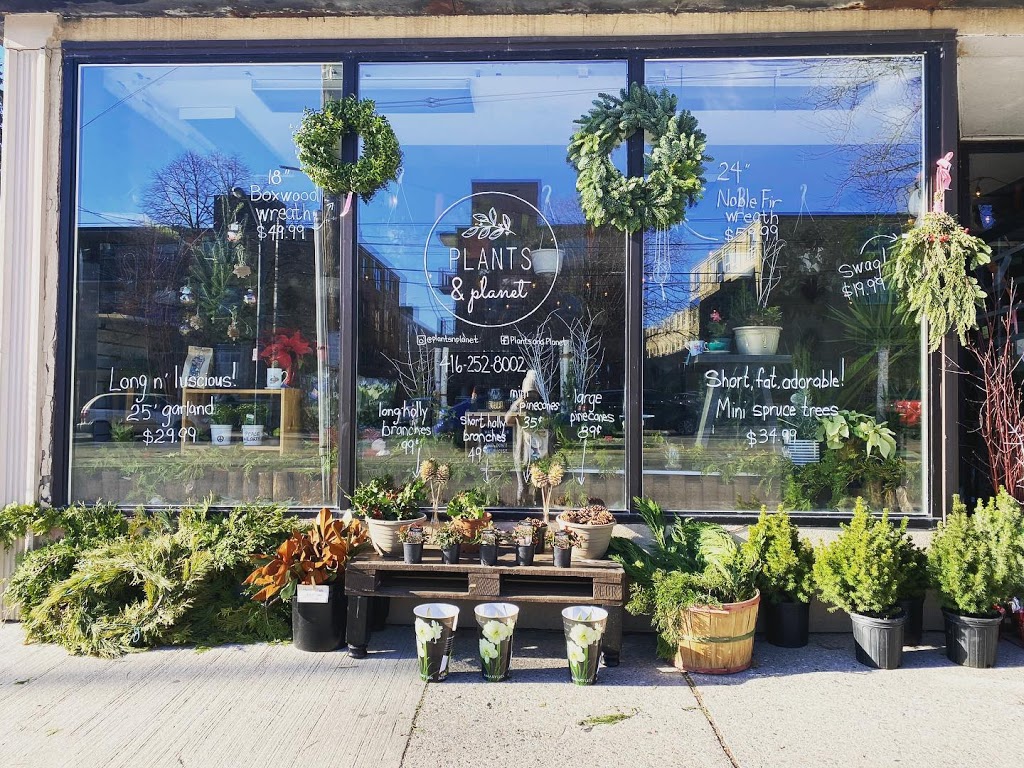 Plants & Planet | 2372 Lake Shore Blvd W, Etobicoke, ON M8V 1B6, Canada | Phone: (416) 252-8002
