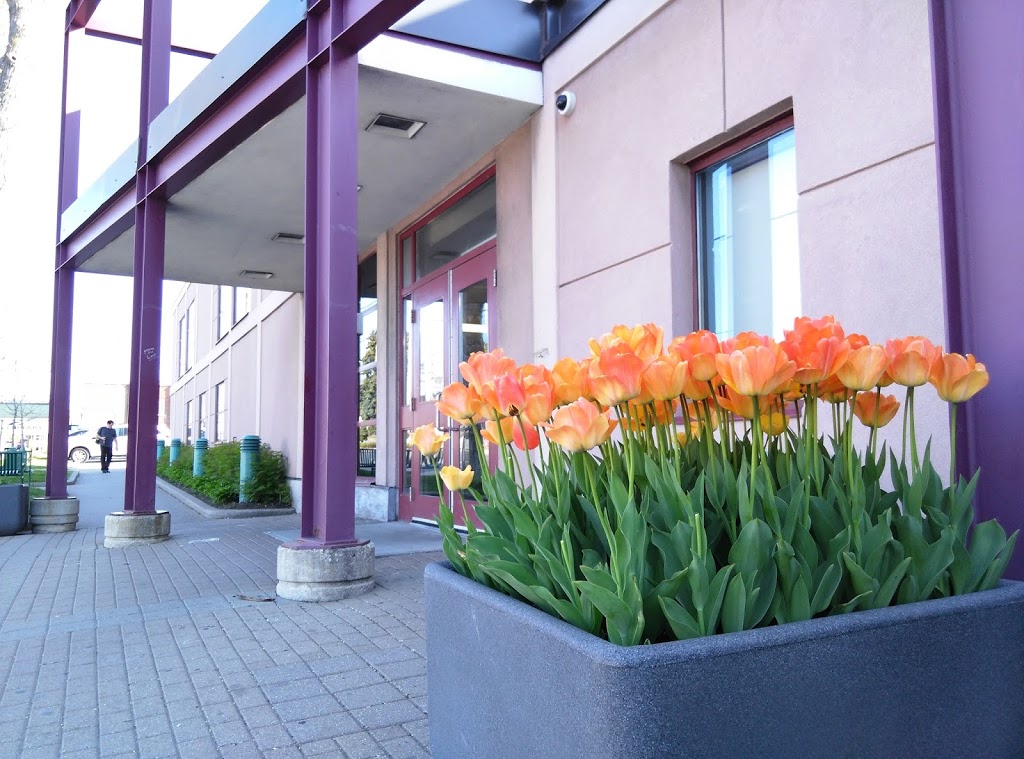 Toronto Public Library - Todmorden Room Branch | 1081 1/2 Pape Ave, East York, ON M4K 3W6, Canada | Phone: (416) 396-3875
