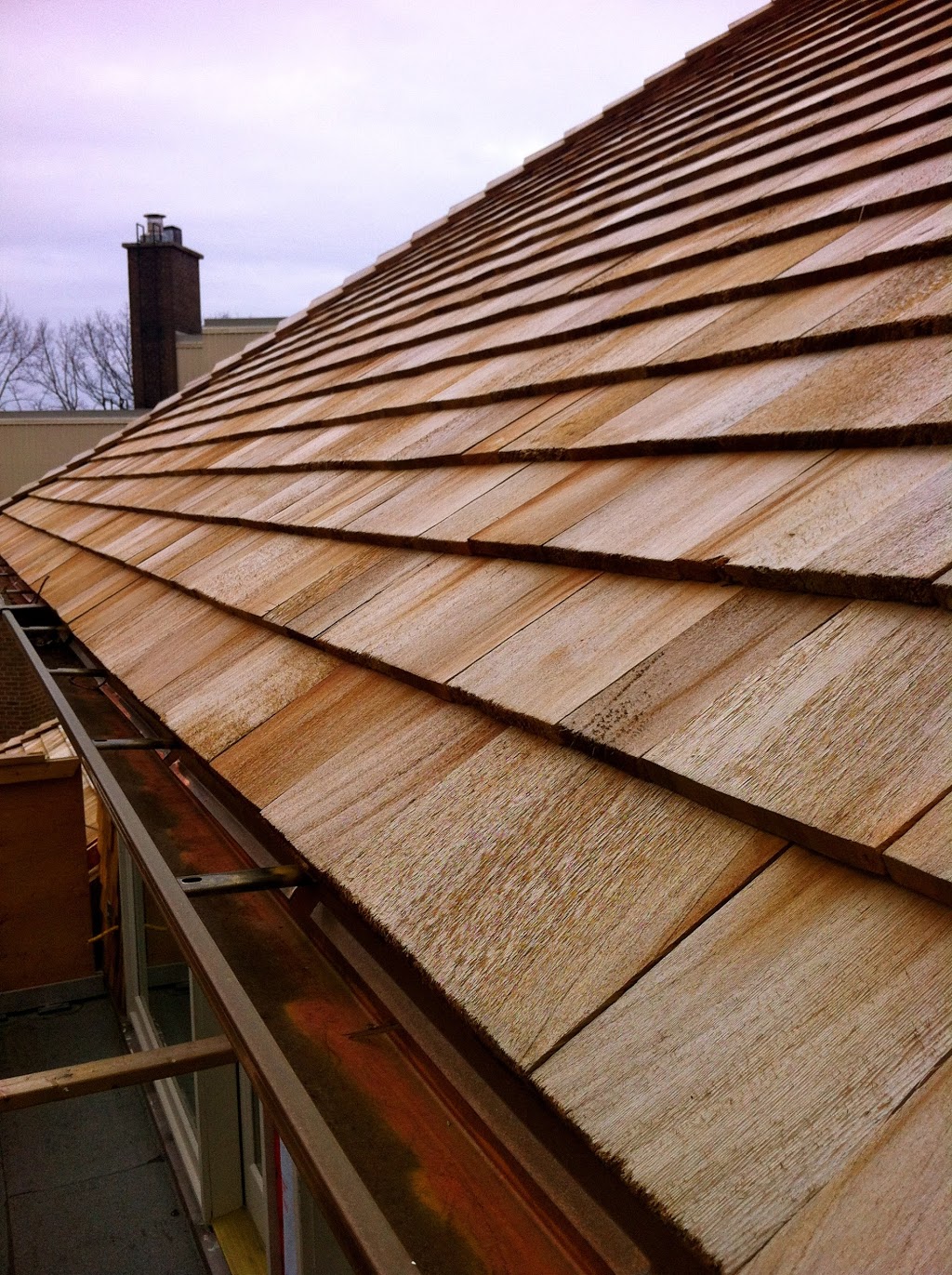Aviva Roofing Ltd | 10 Alness St, North York, ON M3J 2K1, Canada | Phone: (416) 795-7700