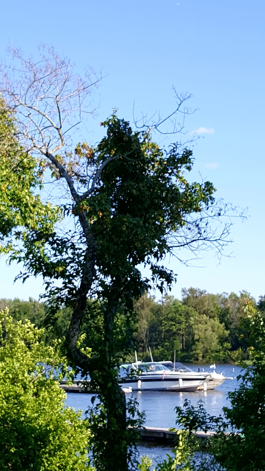 Parc dAndromède | 202 Rue dAndromède, Gatineau, QC J9J 0J6, Canada | Phone: (819) 595-2002